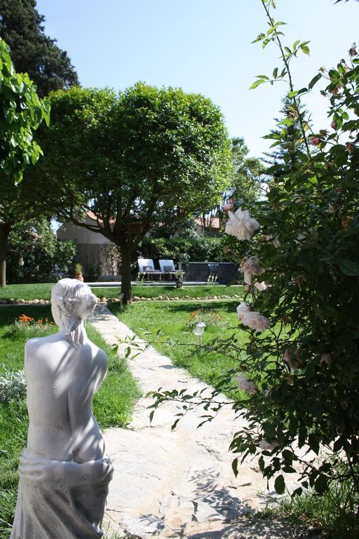 L'Abri Du Poete Bed & Breakfast Besse-sur-Issole Dış mekan fotoğraf