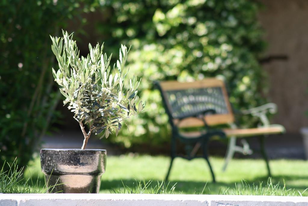 L'Abri Du Poete Bed & Breakfast Besse-sur-Issole Dış mekan fotoğraf