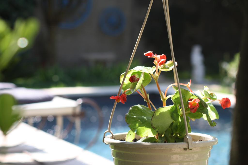 L'Abri Du Poete Bed & Breakfast Besse-sur-Issole Dış mekan fotoğraf