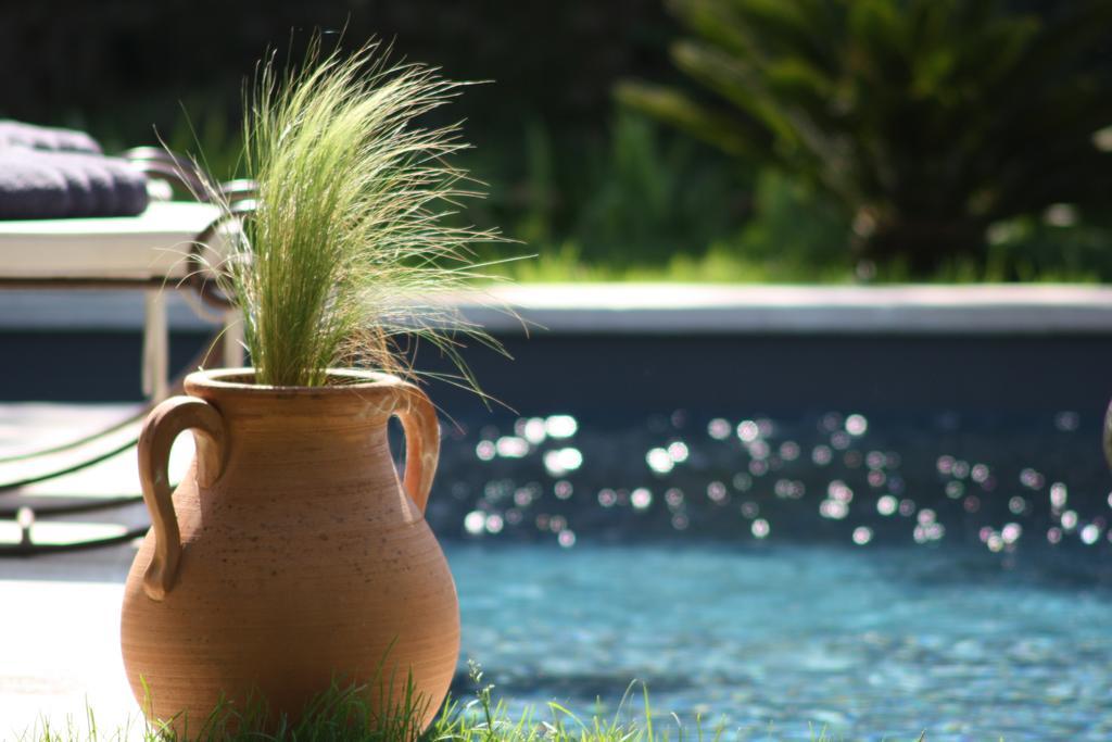 L'Abri Du Poete Bed & Breakfast Besse-sur-Issole Dış mekan fotoğraf