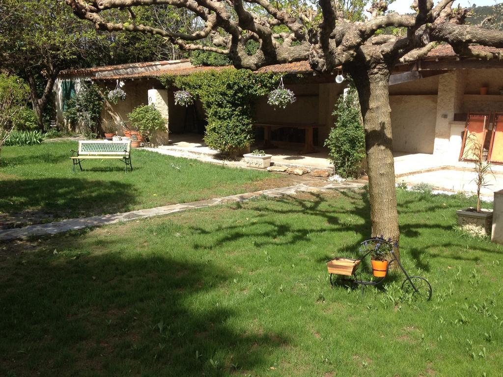 L'Abri Du Poete Bed & Breakfast Besse-sur-Issole Dış mekan fotoğraf