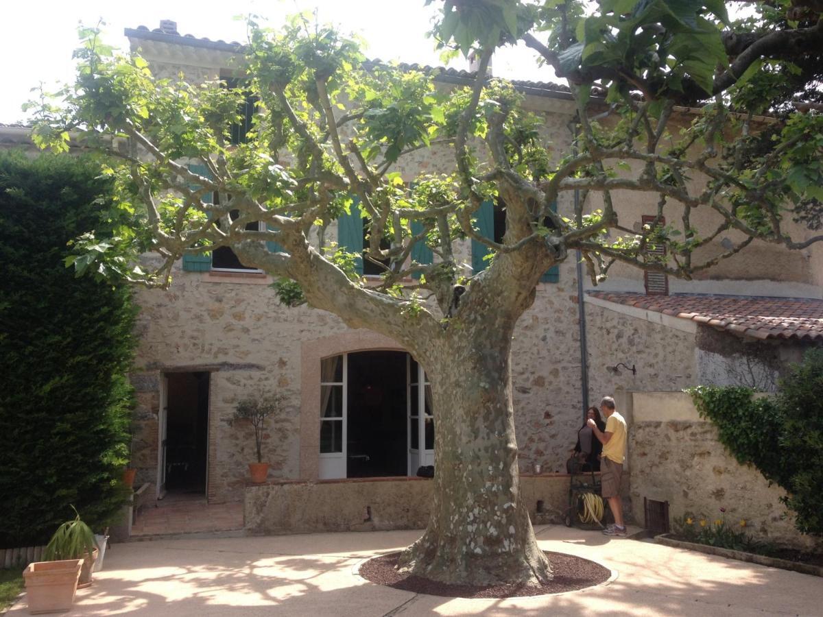 L'Abri Du Poete Bed & Breakfast Besse-sur-Issole Dış mekan fotoğraf